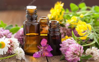 Atelier Aromathérapie